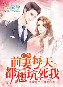 前妻天价