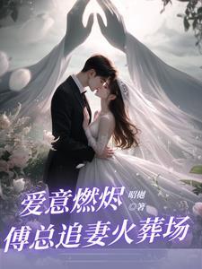 前夫回家2