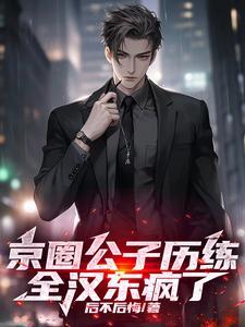 京圈公子